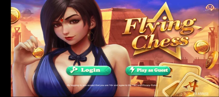 Flying Chess Game Interface